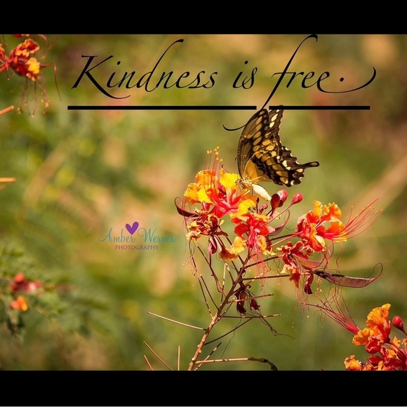 Unlisted Inventory - Picture 1 of 1